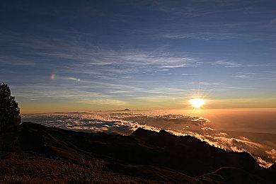 《塞尔达传说：王国之泪》选在周五发售 久违的塞尔达请假再来